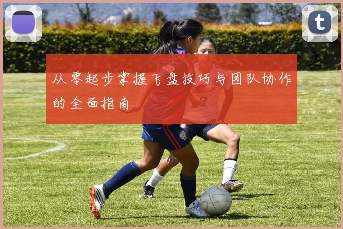 从零起步掌握飞盘技巧与团队协作的全面指南