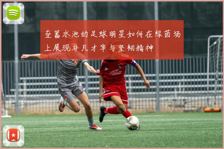 垒蓄水池的足球明星如何在绿茵场上展现非凡才华与坚韧精神