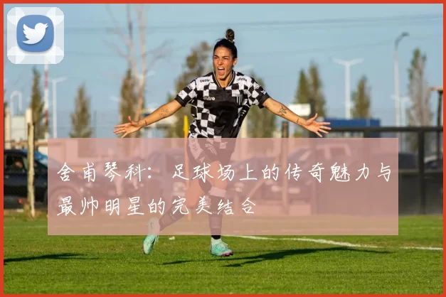 舍甫琴科：足球场上的传奇魅力与最帅明星的完美结合