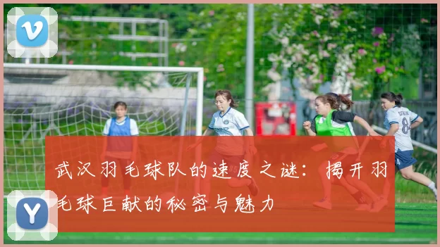 武汉羽毛球队的速度之谜：揭开羽毛球巨献的秘密与魅力