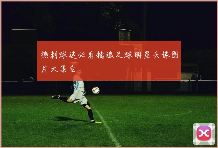 热刺球迷必看精选足球明星头像图片大集合