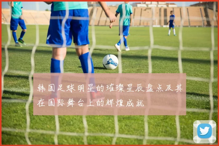 韩国足球明星的璀璨星辰盘点及其在国际舞台上的辉煌成就
