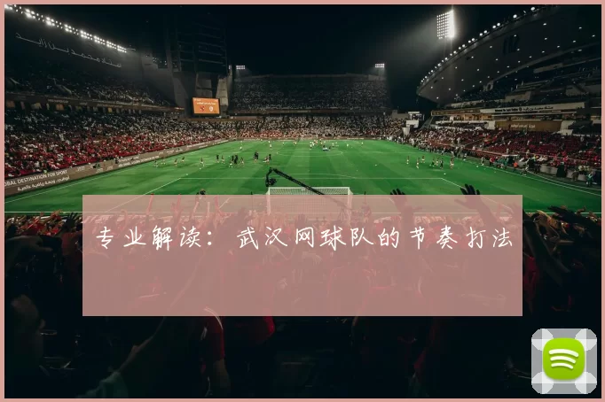 专业解读：武汉网球队的节奏打法
