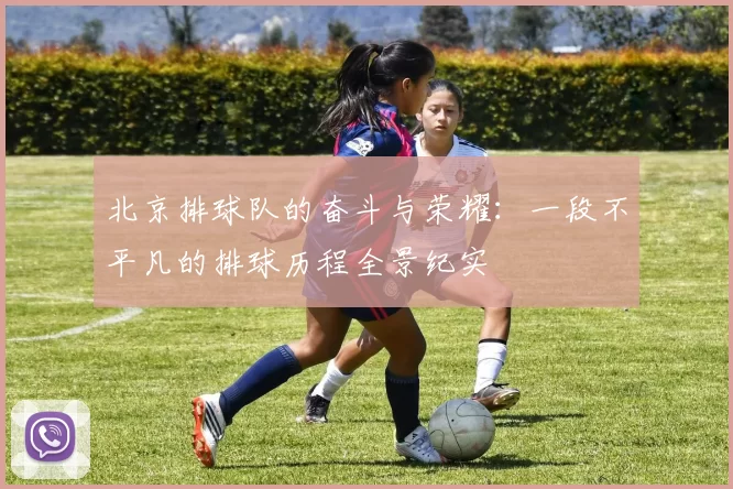 北京排球队的奋斗与荣耀：一段不平凡的排球历程全景纪实