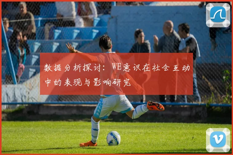 数据分析探讨：WE意识在社会互动中的表现与影响研究