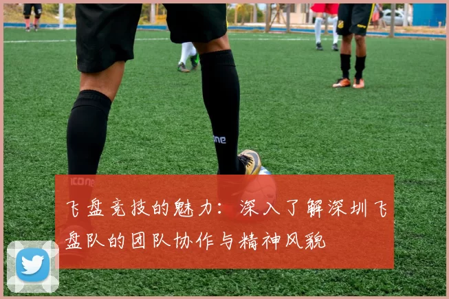 飞盘竞技的魅力：深入了解深圳飞盘队的团队协作与精神风貌