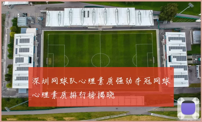 深圳网球队心理素质强劲夺冠网球心理素质排行榜揭晓