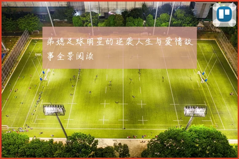 弟媳足球明星的逆袭人生与爱情故事全景阅读