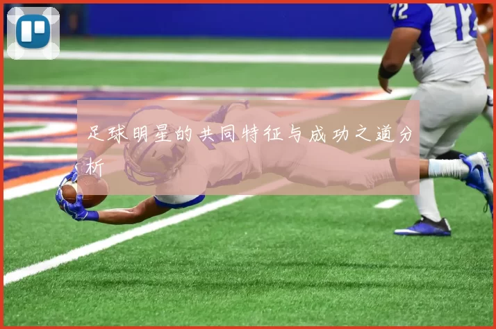 足球明星的共同特征与成功之道分析