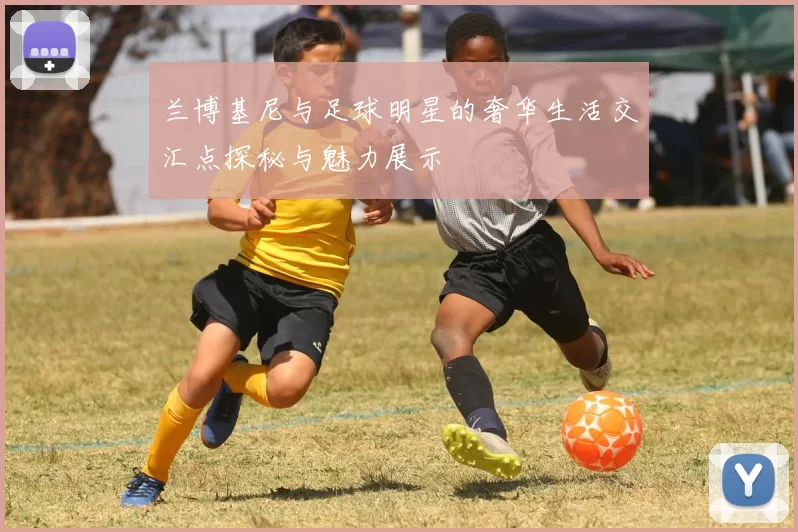 兰博基尼与足球明星的奢华生活交汇点探秘与魅力展示