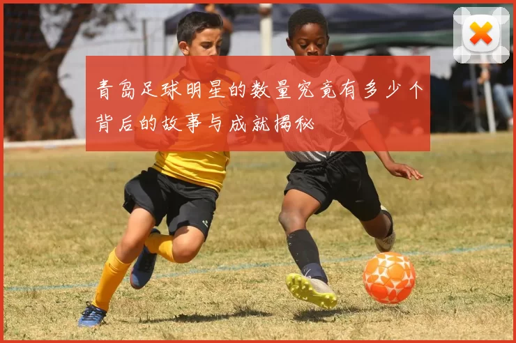 青岛足球明星的数量究竟有多少个背后的故事与成就揭秘