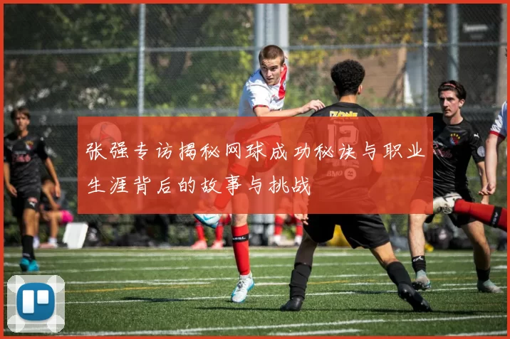 张强专访揭秘网球成功秘诀与职业生涯背后的故事与挑战