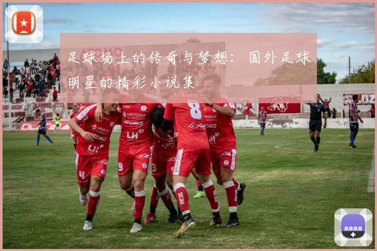 足球场上的传奇与梦想：国外足球明星的精彩小说集