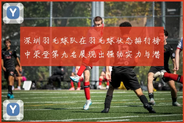 深圳羽毛球队在羽毛球状态排行榜中荣登第九名展现出强劲实力与潜力