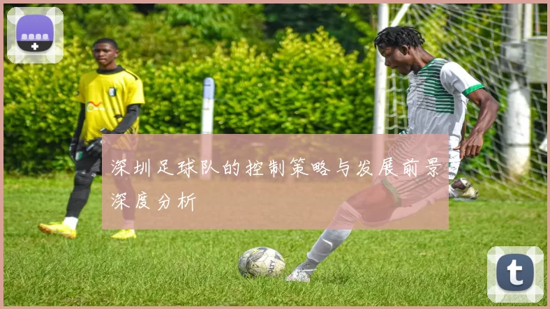 深圳足球队的控制策略与发展前景深度分析