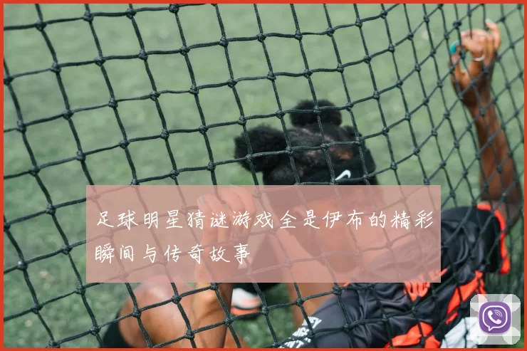 足球明星猜谜游戏全是伊布的精彩瞬间与传奇故事