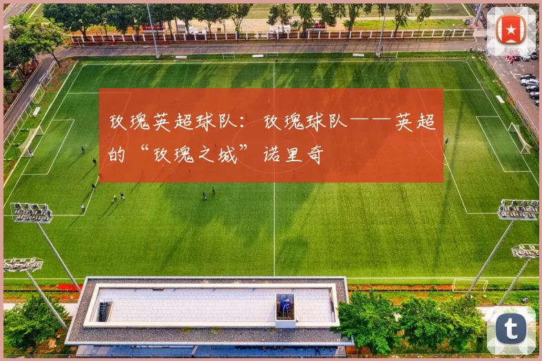 玫瑰英超球队：玫瑰球队——英超的“玫瑰之城”诺里奇
