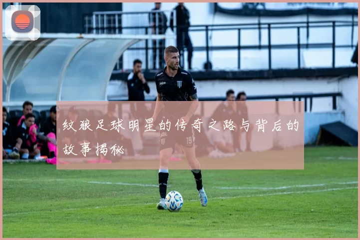 纹狼足球明星的传奇之路与背后的故事揭秘