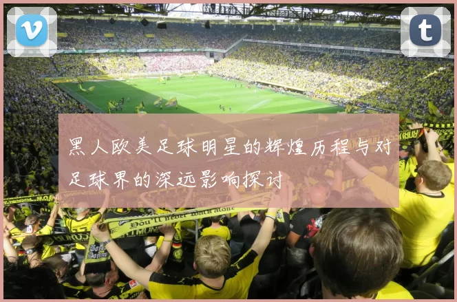 黑人欧美足球明星的辉煌历程与对足球界的深远影响探讨