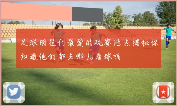 足球明星们最爱的观赛地点揭秘你知道他们都去哪儿看球吗