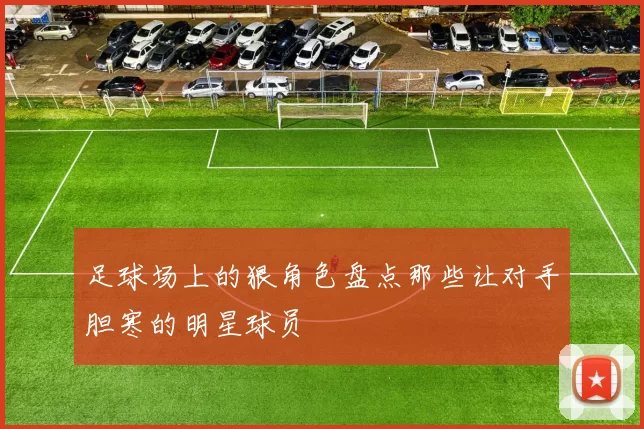 足球场上的狠角色盘点那些让对手胆寒的明星球员