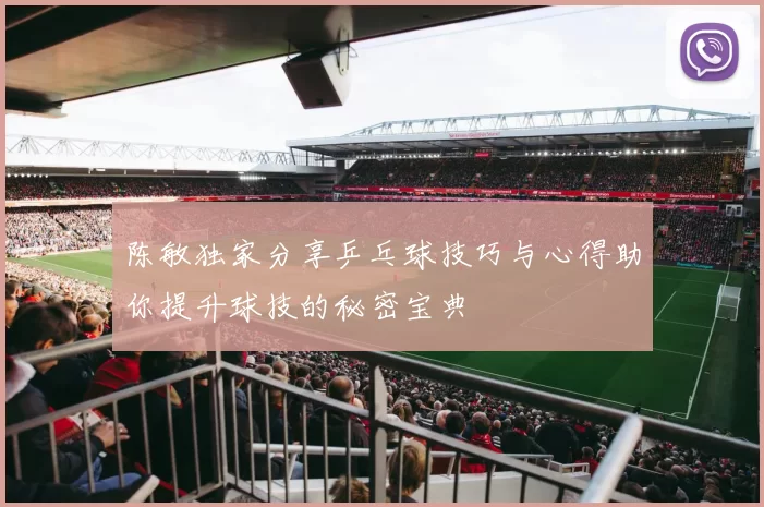 陈敏独家分享乒乓球技巧与心得助你提升球技的秘密宝典