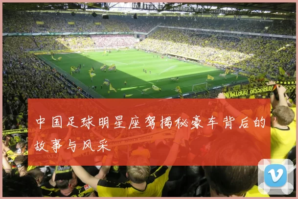 中国足球明星座驾揭秘豪车背后的故事与风采