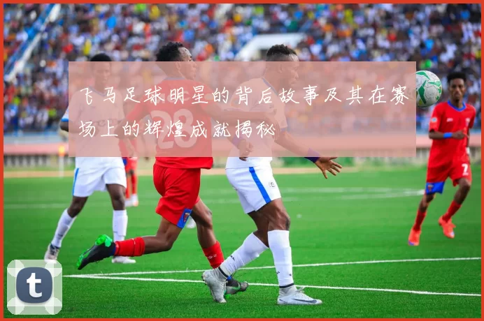 飞马足球明星的背后故事及其在赛场上的辉煌成就揭秘