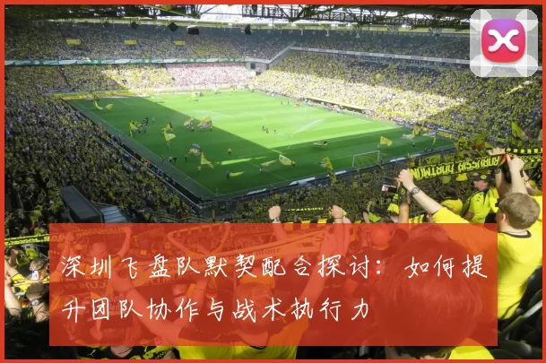 深圳飞盘队默契配合探讨：如何提升团队协作与战术执行力