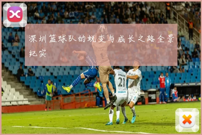 深圳篮球队的蜕变与成长之路全景纪实